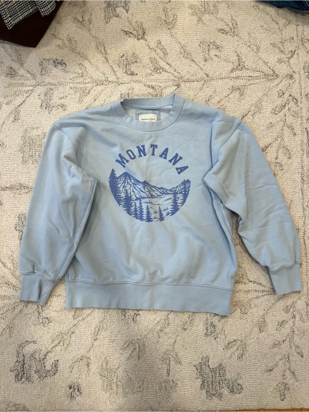 American Eagle Outfitters Light Blue Crewneck Sweatshirt with Navy Graphic